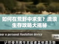 如何在荒野中求生？流浪生存攻略大揭秘