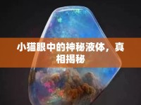 小貓眼中的神秘液體，真相揭秘
