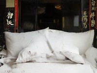 無(wú)密碼也能暢游？探索那些無(wú)需登錄密碼的手游世界