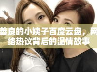 善良的小姨子百度云盤，網(wǎng)絡(luò)熱議背后的溫情故事