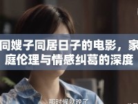 同嫂子同居日子的電影，家庭倫理與情感糾葛的深度探討