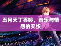 五月天丁香婷，音樂與情感的交織