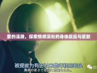愛的漣漪，探索情感深處的身體反應(yīng)與緊致