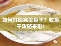 如何打造完美魚干？收魚干攻略來啦！