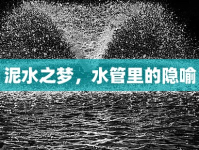 泥水之夢，水管里的隱喻