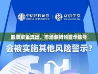 股票資金流出，市場(chǎng)趨勢(shì)的警示信號(hào)