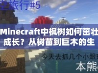 Minecraft中楓樹如何茁壯成長？從樹苗到巨木的生存藝術(shù)全解析