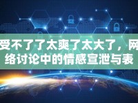 受不了了太爽了太大了，網(wǎng)絡(luò)討論中的情感宣泄與表達(dá)