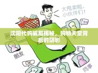 沈陽(yáng)代購(gòu)騙局揭秘，購(gòu)物天堂背后的陰影