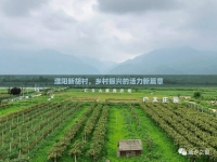 濮陽(yáng)新胡村，鄉(xiāng)村振興的活力新篇章