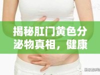 揭秘肛門黃色分泌物真相，健康警報(bào)與日常護(hù)理指南