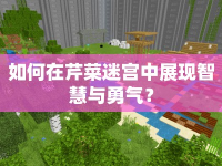 如何在芹菜迷宮中展現(xiàn)智慧與勇氣？