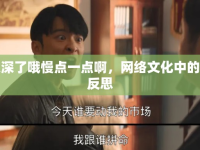 少爺太深了哦慢點(diǎn)一點(diǎn)啊，網(wǎng)絡(luò)文化中的調(diào)侃與反思
