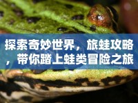 探索奇妙世界，旅蛙攻略，帶你踏上蛙類冒險(xiǎn)之旅！