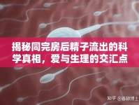 揭秘同完房后精子流出的科學真相，愛與生理的交匯點