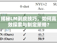 揭秘LM剝皮技巧，如何高效探索與制定策略？