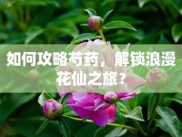 如何攻略芍藥，解鎖浪漫花仙之旅？