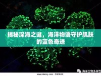 揭秘深海之謎，海洋物語守護(hù)肌膚的藍(lán)色奇跡