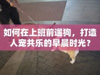 如何在上班前遛狗，打造人寵共樂的早晨時光？