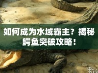 如何成為水域霸主？揭秘鱷魚突破攻略！