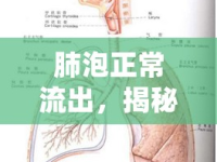 肺泡正常流出，揭秘人體呼吸系統(tǒng)的微妙血液平衡