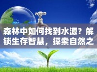 森林中如何找到水源？解鎖生存智慧，探索自然之源！