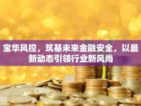 寶華風控，筑基未來金融安全，以最新動態(tài)引領行業(yè)新風尚