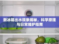 新冰箱出水現(xiàn)象揭秘，科學(xué)原理與日常維護指南