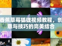 香蕉草莓狐貍視頻教程，創(chuàng)意與技巧的完美結(jié)合