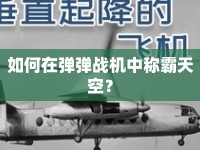 如何在彈彈戰(zhàn)機中稱霸天空？