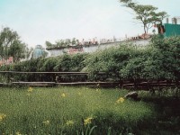 小號拜師大號竟有這么多好處？倩女手游師徒系統(tǒng)五大優(yōu)勢揭秘！