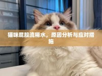 貓咪屁股流稀水，原因分析與應(yīng)對措施