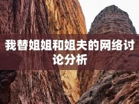 我替姐姐和姐夫的網(wǎng)絡(luò)討論分析