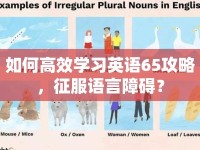 如何高效學(xué)習(xí)英語65攻略，征服語言障礙？