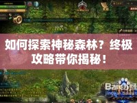 如何探索神秘森林？終極攻略帶你揭秘！