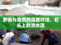 夢(mèng)境與自然的深度對(duì)話，石頭上的清水流