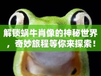 解鎖蝸牛肖像的神秘世界，奇妙旅程等你來探索！