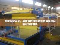重塑包裝未來，最新款收縮包裝機(jī)高清實(shí)拍與前沿技術(shù)解析