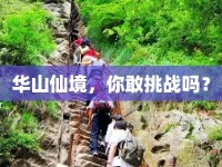 華山仙境，你敢挑戰(zhàn)嗎？