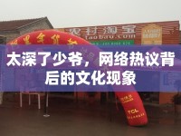 太深了少爺，網(wǎng)絡(luò)熱議背后的文化現(xiàn)象