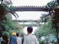 火鳥技能為何能成為龍之谷手游的爆發(fā)之王？