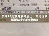 孕期23周意外液體流出，常見現(xiàn)象解析與安心應對策略