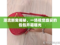潮流新寵揭秘，一場(chǎng)視覺(jué)盛宴的包包開(kāi)箱曝光