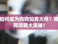 如何成為狗狗飼養(yǎng)大師？喂狗攻略大揭秘！