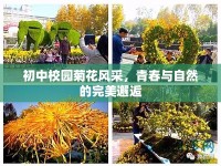 初中校園菊花風采，青春與自然的完美邂逅
