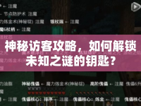 神秘訪客攻略，如何解鎖未知之謎的鑰匙？