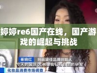 婷婷re6國(guó)產(chǎn)在線，國(guó)產(chǎn)游戲的崛起與挑戰(zhàn)