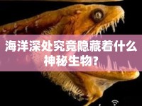 海洋深處究竟隱藏著什么神秘生物？