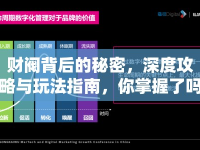 財閥背后的秘密，深度攻略與玩法指南，你掌握了嗎？