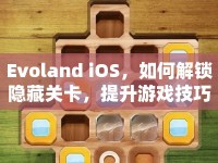 Evoland iOS，如何解鎖隱藏關(guān)卡，提升游戲技巧？終極攻略來襲！